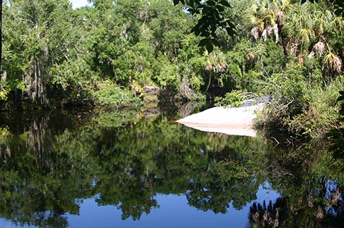 A sandy beach area along the upper Manatee river